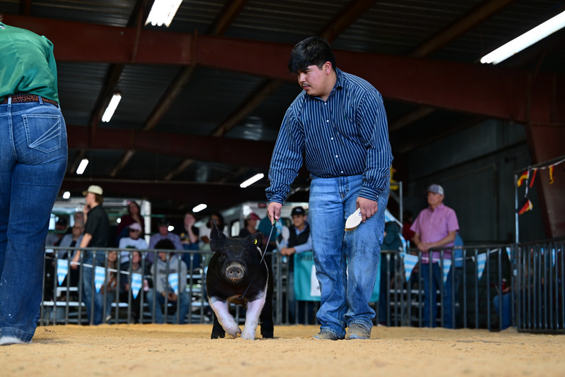 25GTT- RingAHamps-8191.jpg