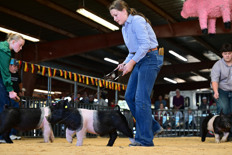 25GTT- RingAHamps-8194.jpg