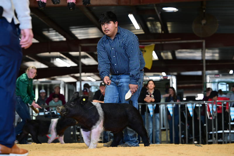 25GTT- RingAHamps-8196.jpg