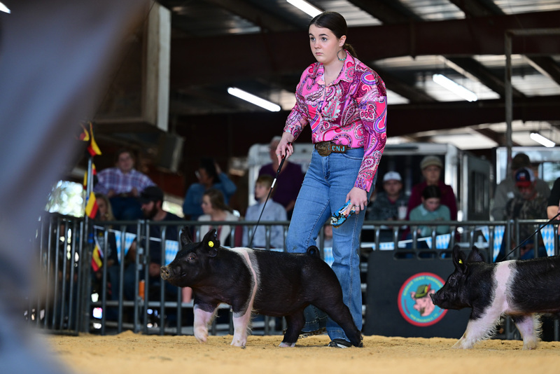 25GTT- RingAHamps-8197.jpg