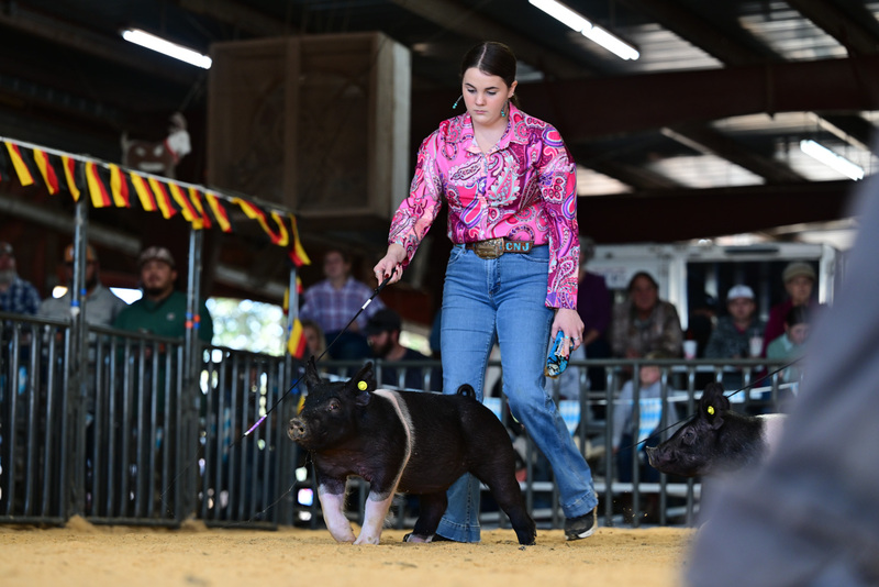 25GTT- RingAHamps-8198.jpg