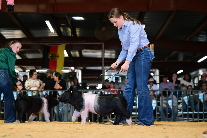 25GTT- RingAHamps-8202.jpg