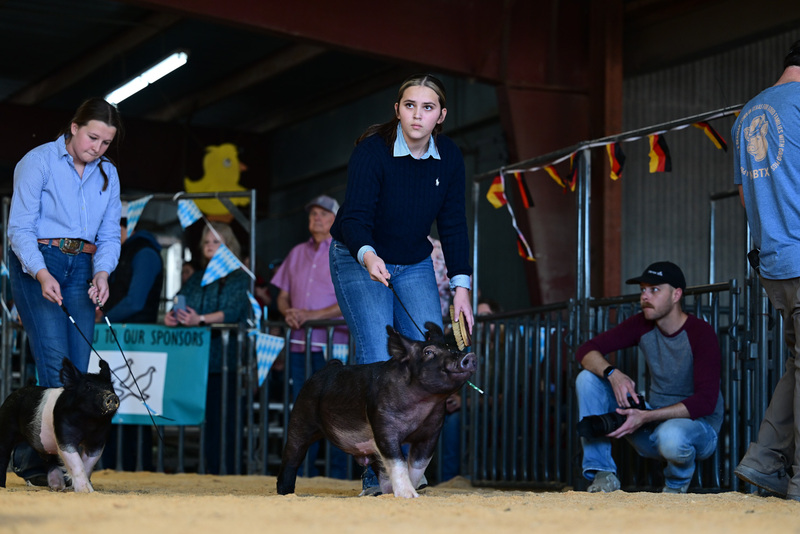 25GTT- RingAHamps-8203.jpg