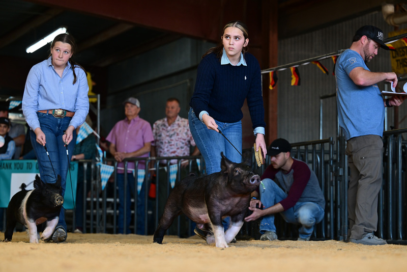 25GTT- RingAHamps-8204.jpg