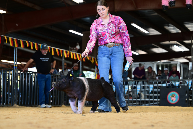 25GTT- RingAHamps-8206.jpg