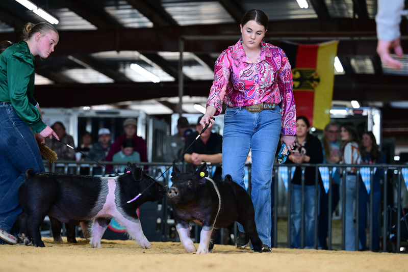 25GTT- RingAHamps-8207.jpg