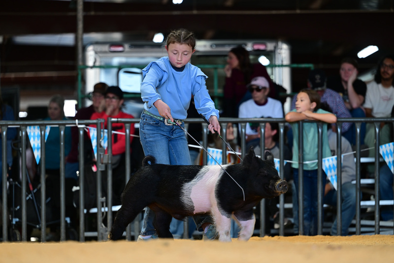 25GTT- RingAHamps-8210.jpg