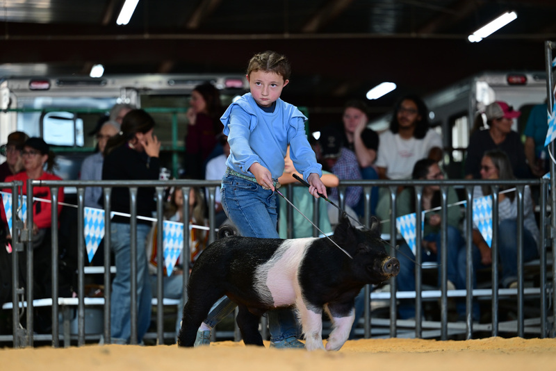 25GTT- RingAHamps-8211.jpg