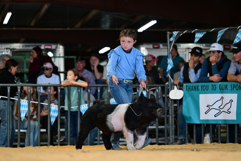 25GTT- RingAHamps-8212.jpg