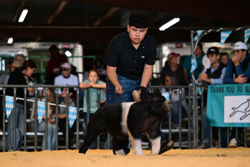 25GTT- RingAHamps-8214.jpg