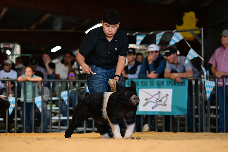 25GTT- RingAHamps-8215.jpg