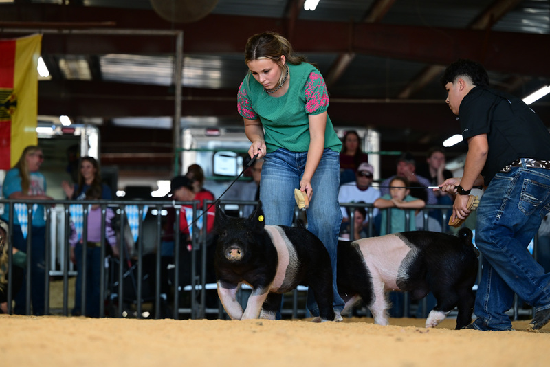 25GTT- RingAHamps-8219.jpg