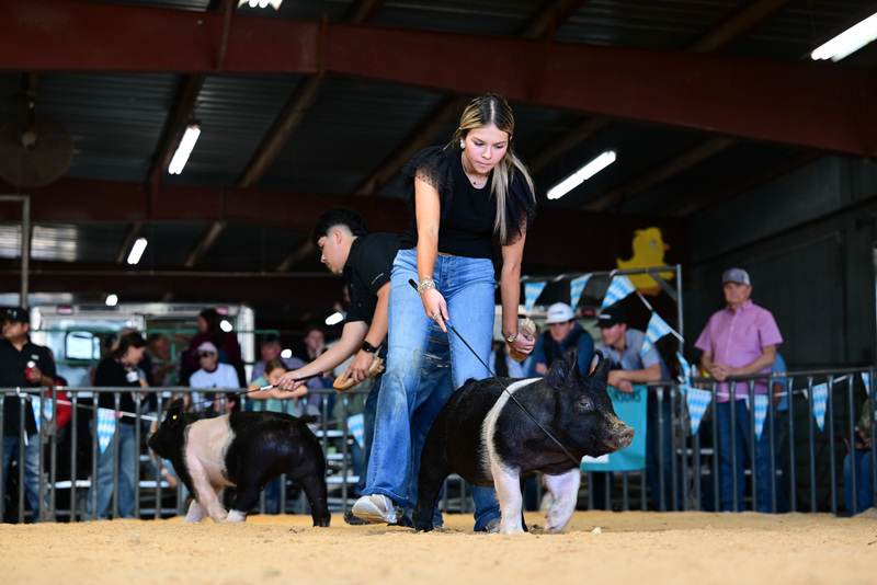 25GTT- RingAHamps-8220.jpg