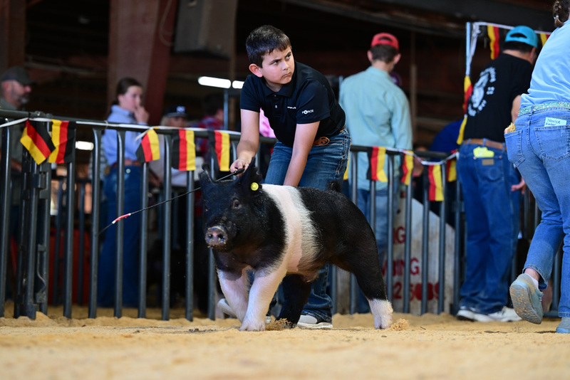 25GTT- RingAHamps-8222.jpg