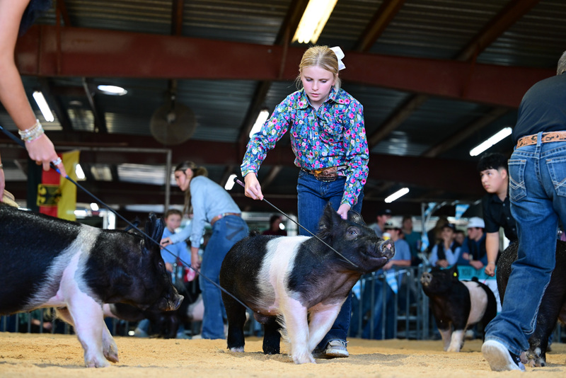 25GTT- RingAHamps-8223.jpg