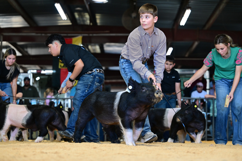 25GTT- RingAHamps-8224.jpg