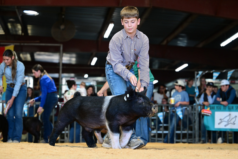 25GTT- RingAHamps-8225.jpg