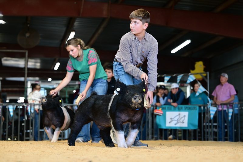 25GTT- RingAHamps-8226.jpg