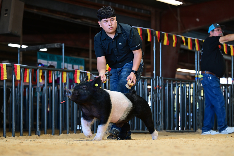 25GTT- RingAHamps-8228.jpg