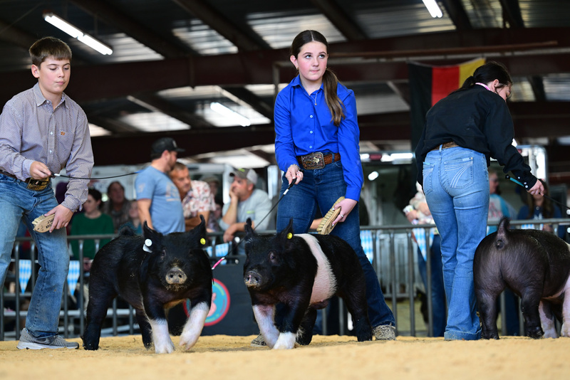 25GTT- RingAHamps-8230.jpg