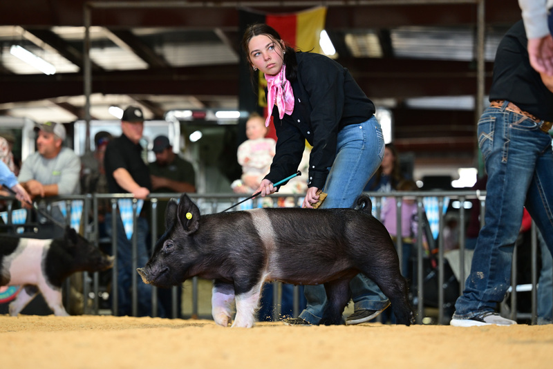 25GTT- RingAHamps-8231.jpg