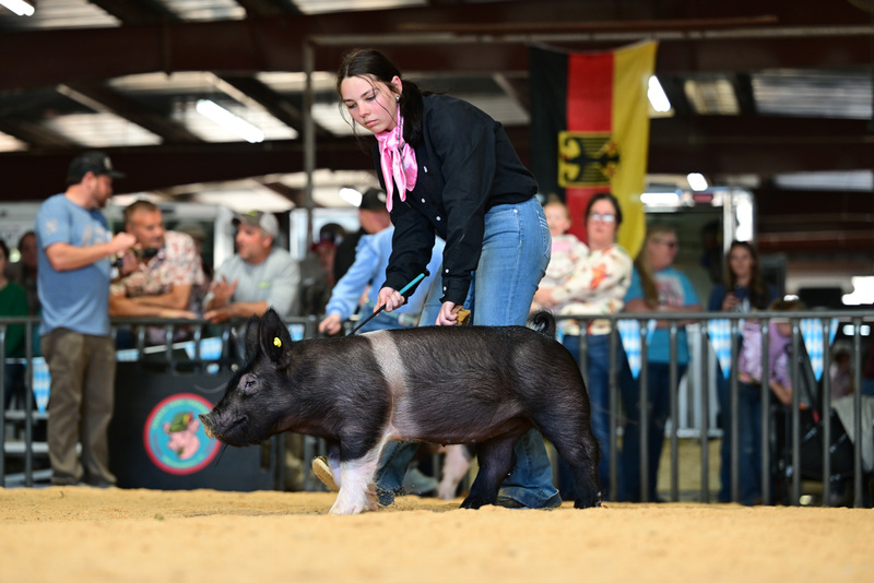 25GTT- RingAHamps-8232.jpg