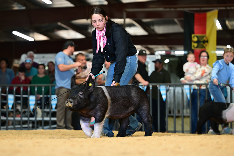 25GTT- RingAHamps-8233.jpg