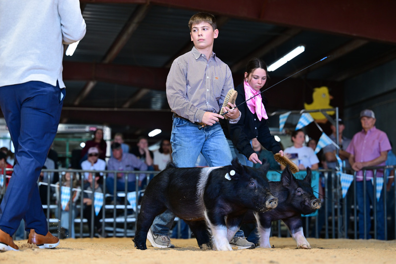 25GTT- RingAHamps-8235.jpg