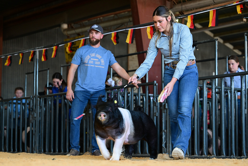 25GTT- RingAHamps-8236.jpg