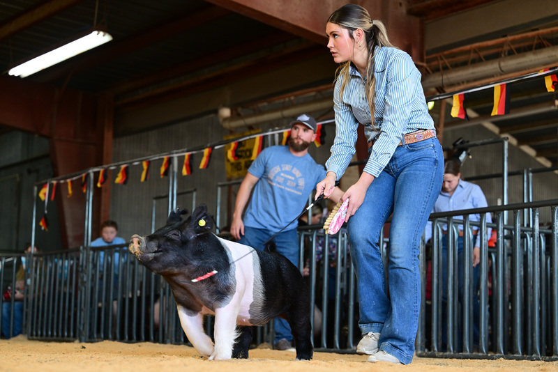 25GTT- RingAHamps-8237.jpg