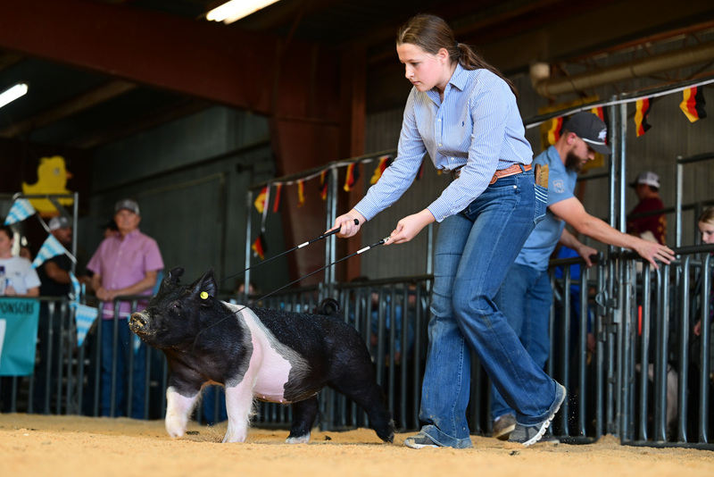 25GTT- RingAHamps-8238.jpg