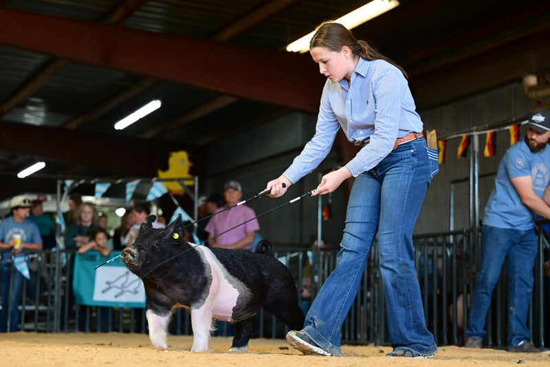 25GTT- RingAHamps-8239.jpg