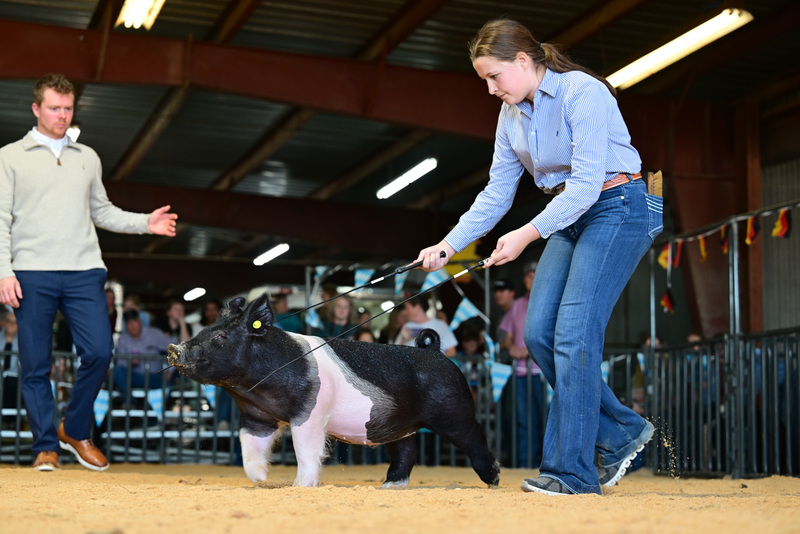 25GTT- RingAHamps-8240.jpg