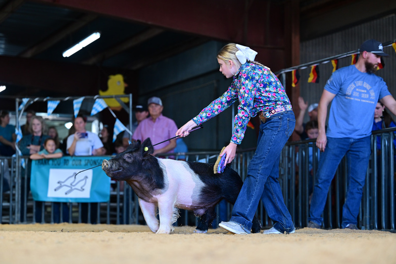 25GTT- RingAHamps-8241.jpg