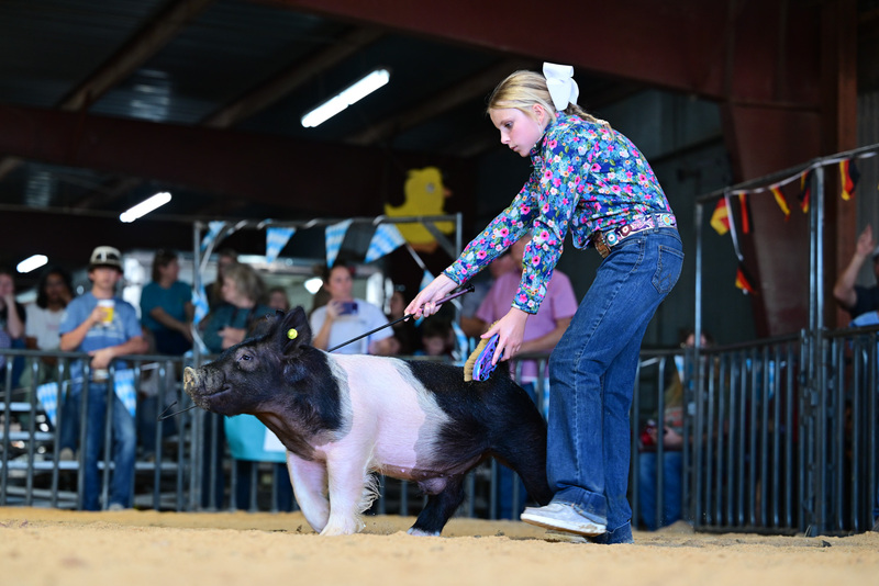 25GTT- RingAHamps-8242.jpg