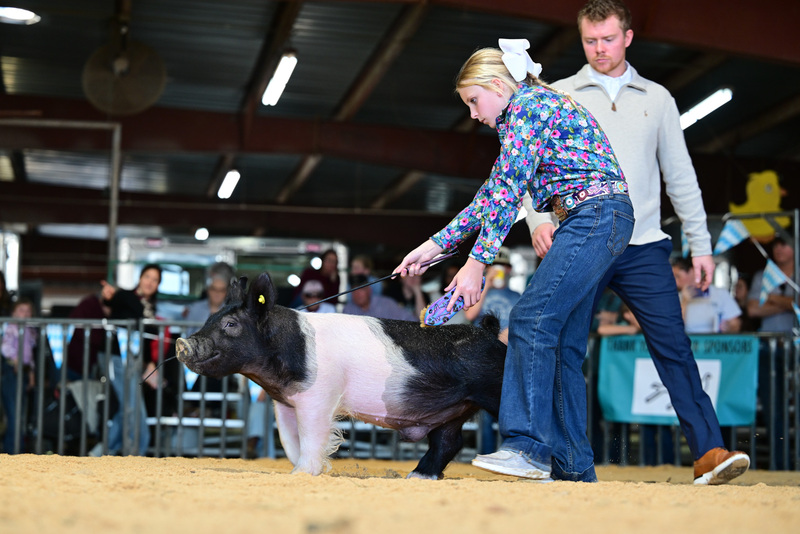 25GTT- RingAHamps-8244.jpg