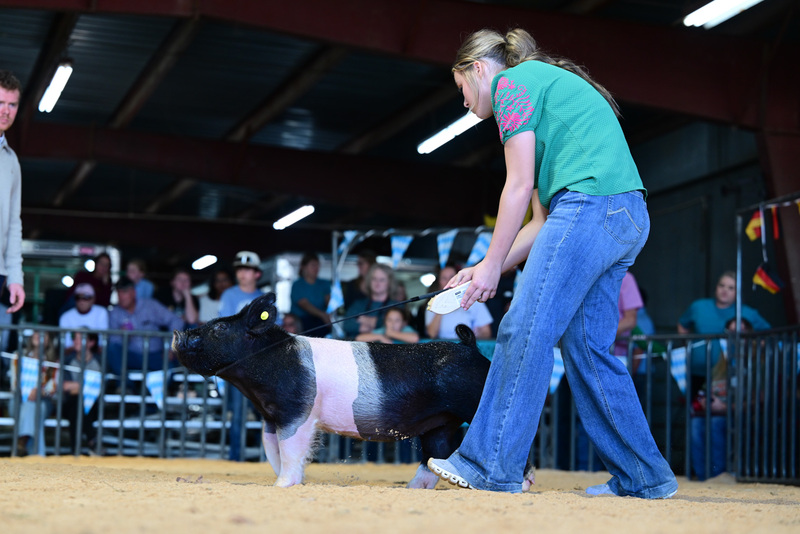 25GTT- RingAHamps-8245.jpg