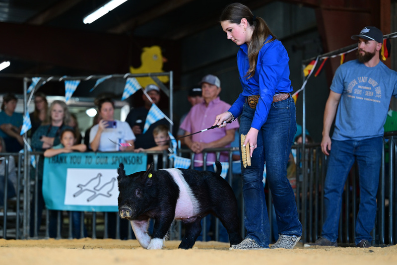 25GTT- RingAHamps-8246.jpg