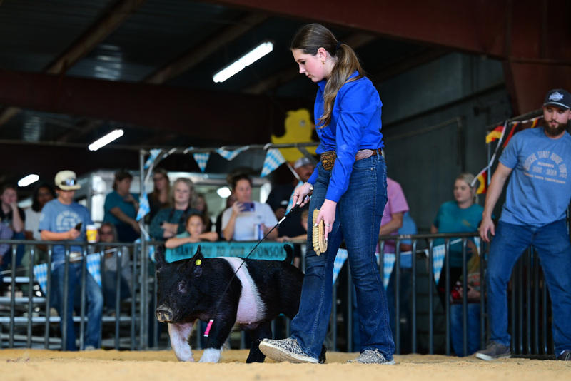 25GTT- RingAHamps-8247.jpg