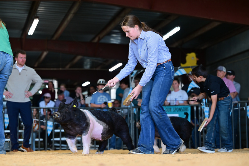 25GTT- RingAHamps-8252.jpg