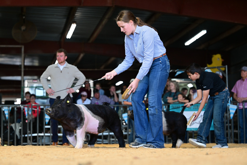 25GTT- RingAHamps-8253.jpg