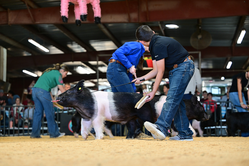 25GTT- RingAHamps-8256.jpg