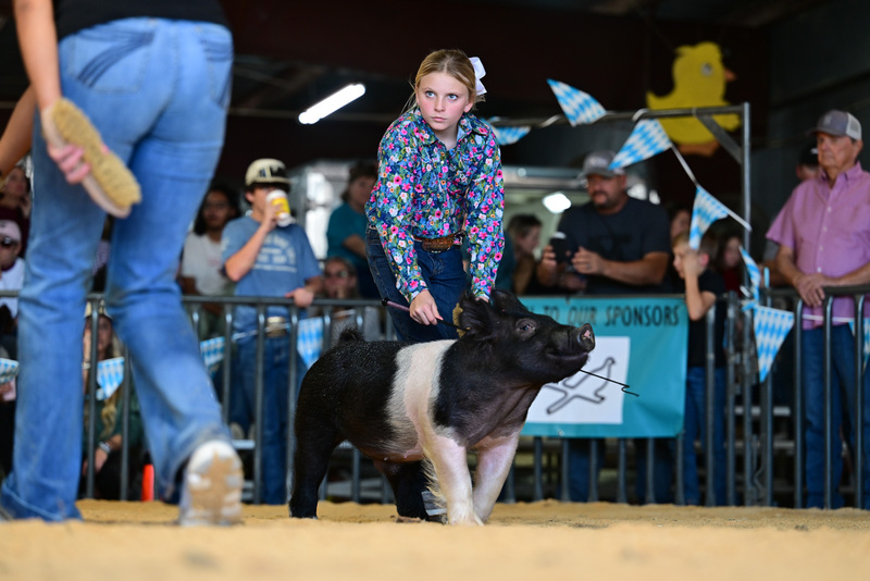 25GTT- RingAHamps-8258.jpg