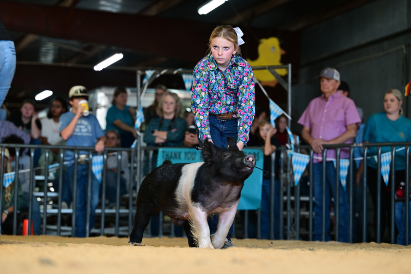 25GTT- RingAHamps-8259.jpg