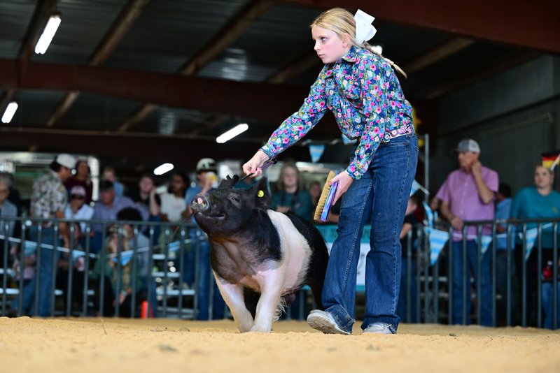 25GTT- RingAHamps-8261.jpg