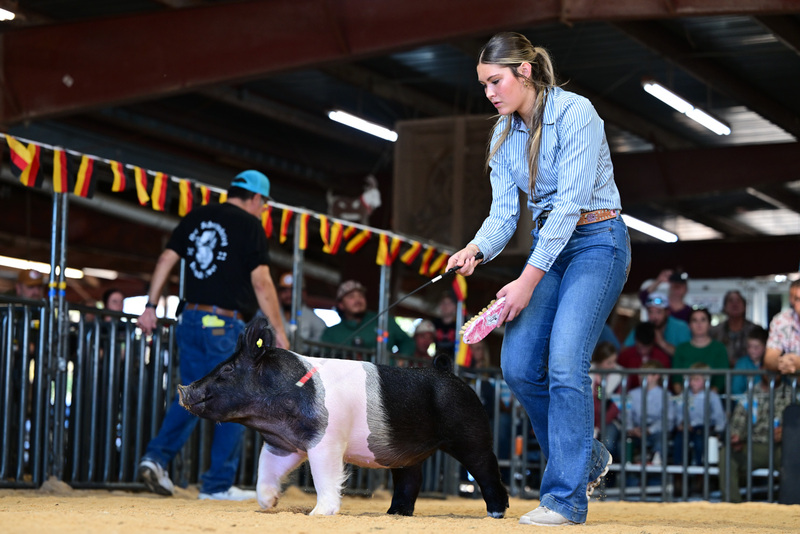 25GTT- RingAHamps-8264.jpg