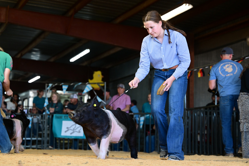 25GTT- RingAHamps-8265.jpg