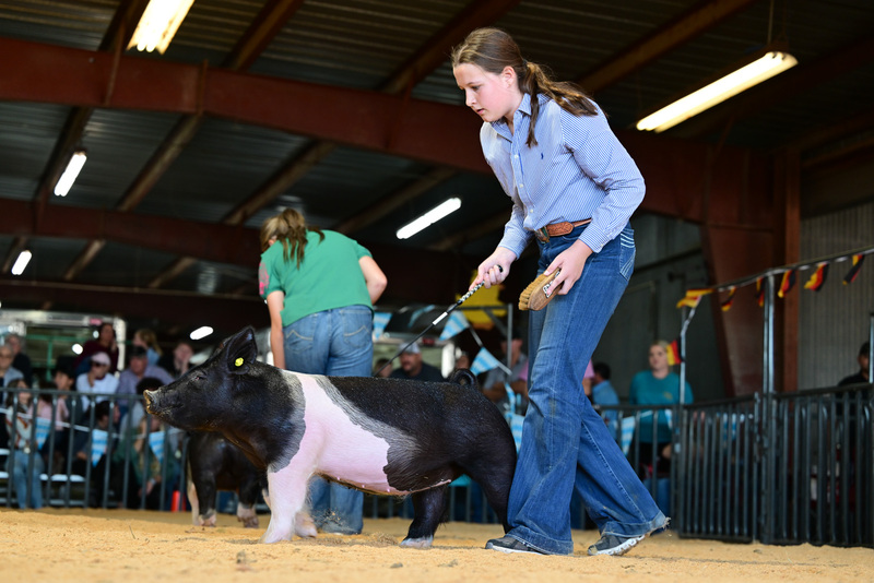 25GTT- RingAHamps-8266.jpg