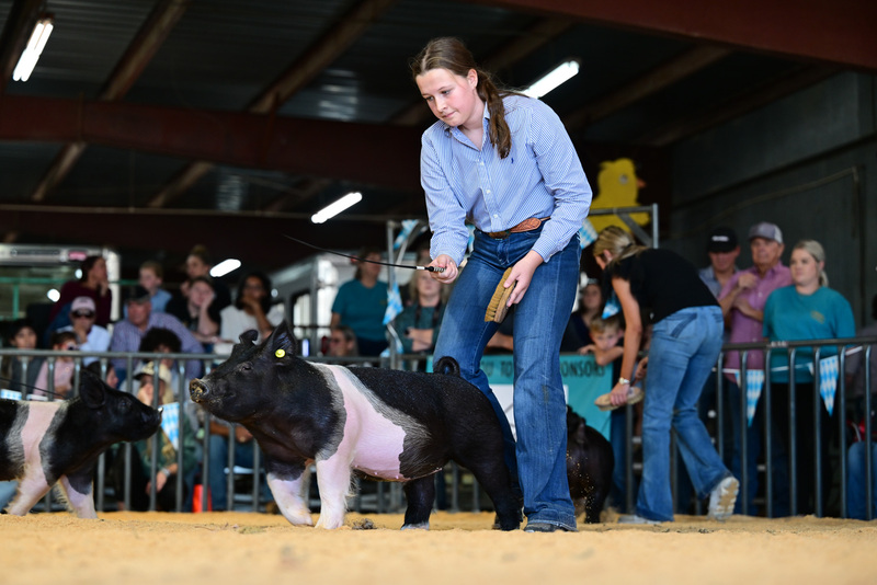 25GTT- RingAHamps-8268.jpg