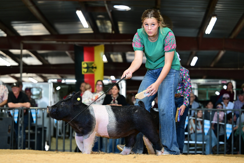 25GTT- RingAHamps-8270.jpg